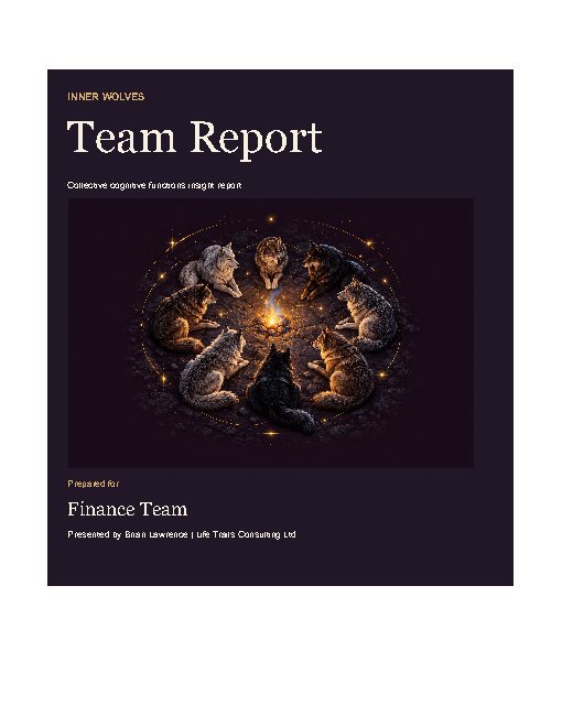 Team Report fictional sample cover